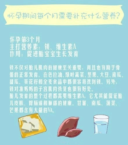 怀孕每个月要补充什么维生素,怀孕期间每个月吃什么最好