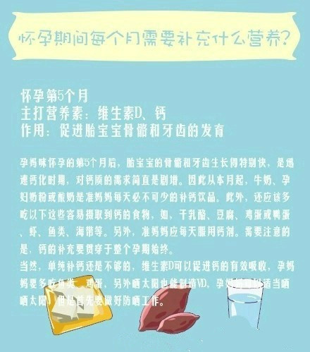 怀孕每个月要补充什么维生素,怀孕期间每个月吃什么最好