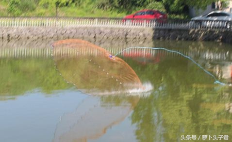 捕鱼神器可以抓到鱼吗,捕鱼神器真能抓到鱼吗