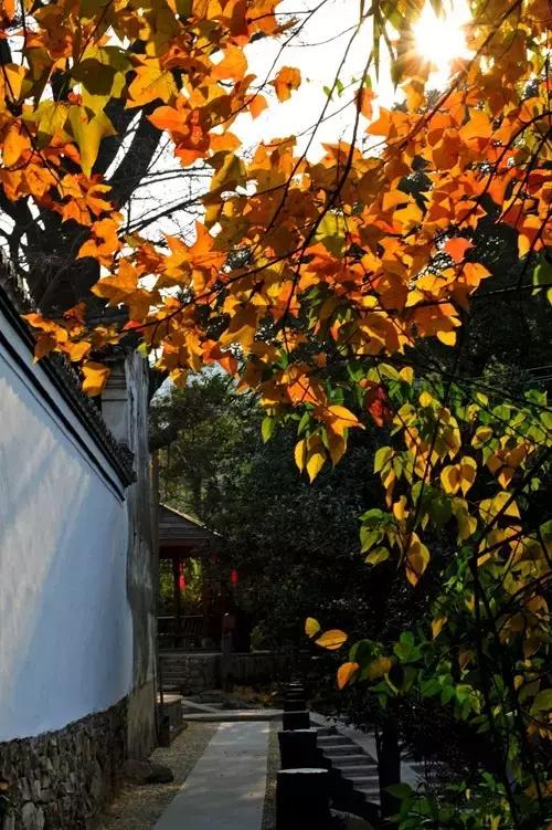 浙江杭州隐藏了一个绝佳旅行地,杭州车程一两个小时的旅游攻略