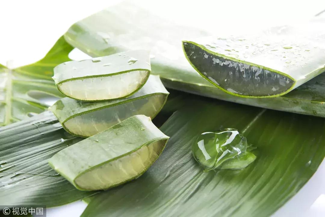 芦荟外敷内服效果怎么样,芦荟外敷内服有什么作用