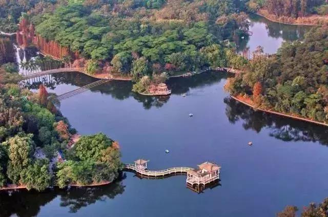 广州市内免费景点大全一日游,广州100个免费旅游景点