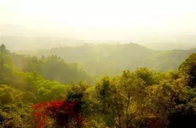 广州市内免费景点大全一日游,广州100个免费旅游景点