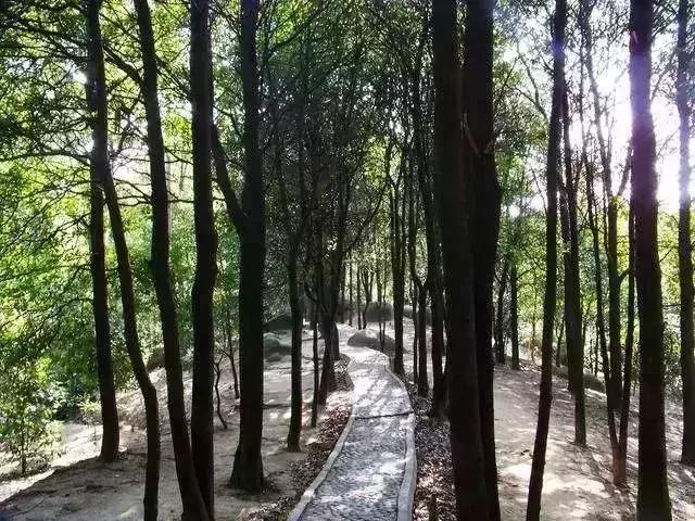 广州市内免费景点大全一日游,广州100个免费旅游景点