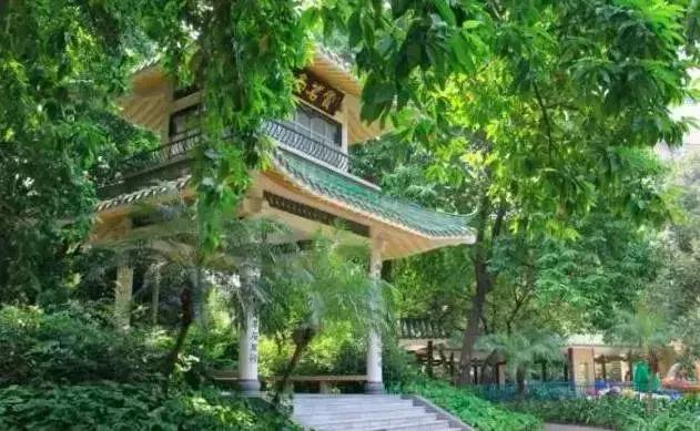 广州市内免费景点大全一日游,广州100个免费旅游景点