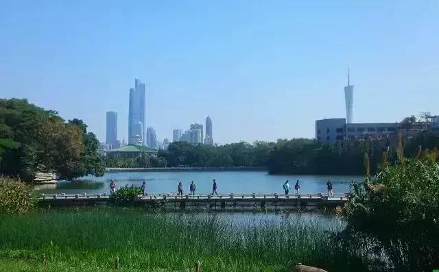 广州市内免费景点大全一日游,广州100个免费旅游景点