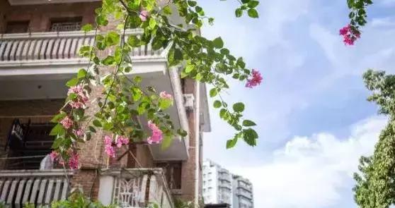 广州市内免费景点大全一日游,广州100个免费旅游景点