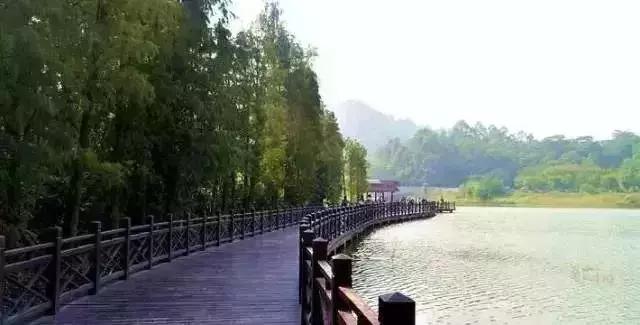 广州市内免费景点大全一日游,广州100个免费旅游景点