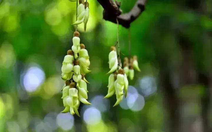 广州市内免费景点大全一日游,广州100个免费旅游景点