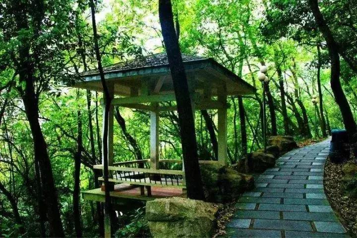 广州市内免费景点大全一日游,广州100个免费旅游景点