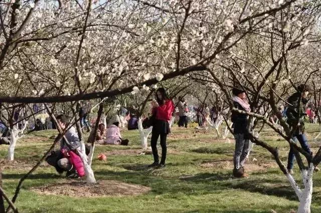 广州市内免费景点大全一日游,广州100个免费旅游景点