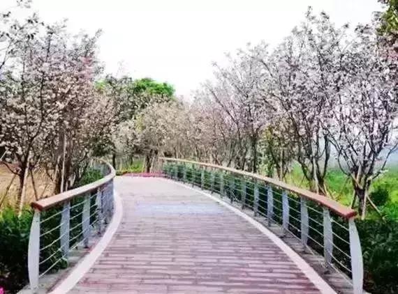 广州市内免费景点大全一日游,广州100个免费旅游景点