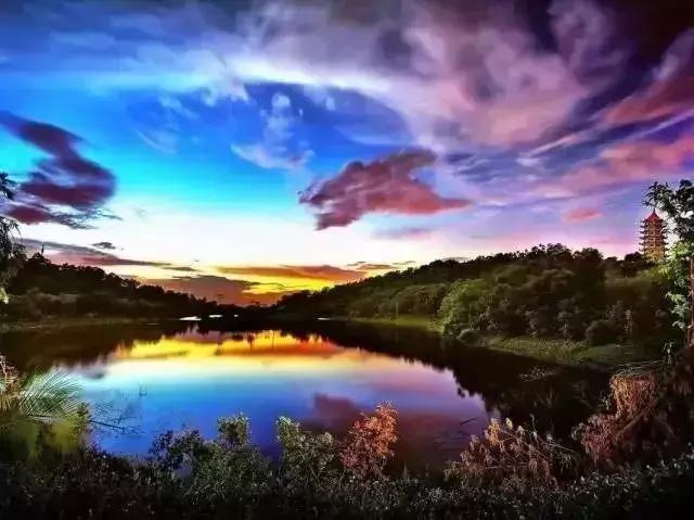 广州市内免费景点大全一日游,广州100个免费旅游景点