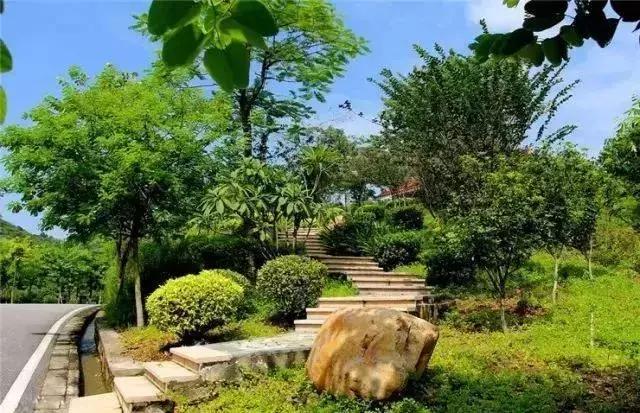 广州市内免费景点大全一日游,广州100个免费旅游景点