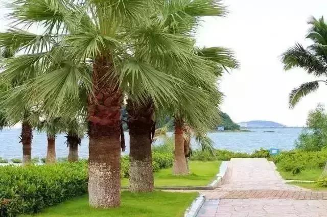 广州市内免费景点大全一日游,广州100个免费旅游景点