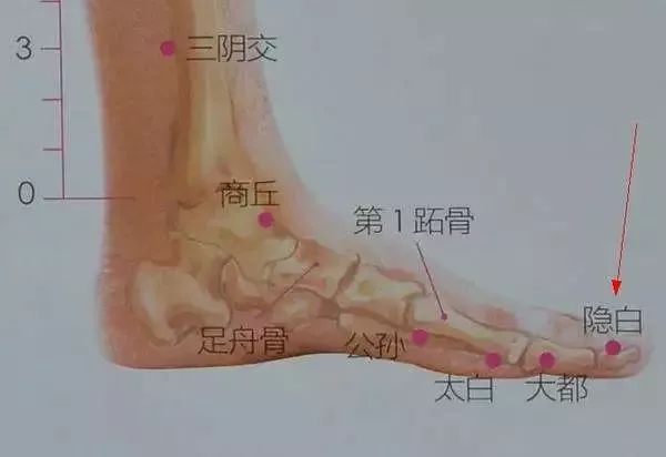 掌握四大脾经要穴，颜面问题、妇科问题轻松解决