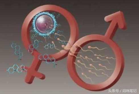 受精卵着床,女性会有这几种感觉,你感觉到了吗?