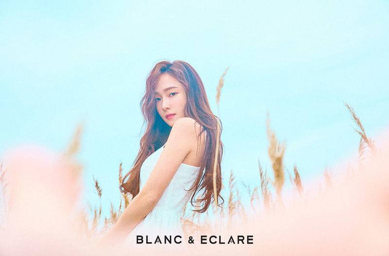 少女时代女团发展史,少女时代女团教科书