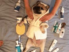 成都直飞洛杉矶几个小时,成都直飞厦门三天四晚