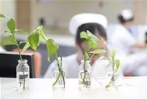 百草枯为什么医生要抢救,急诊科医生百草枯喝了就没救了吗