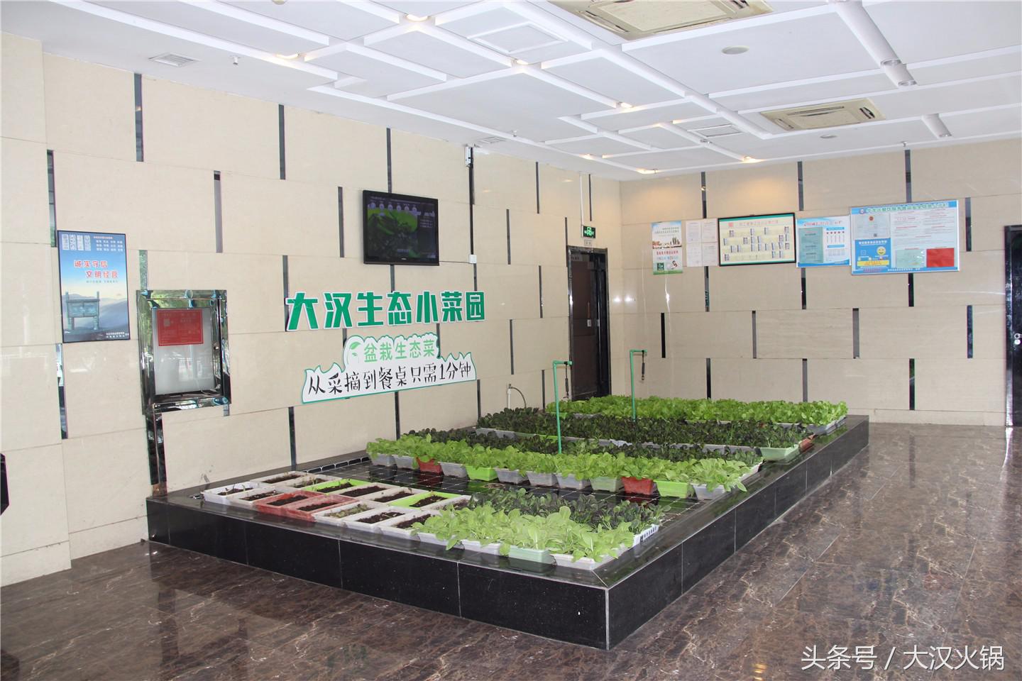 欢迎领导到我市指导工作,欢迎领导到公司参观指导