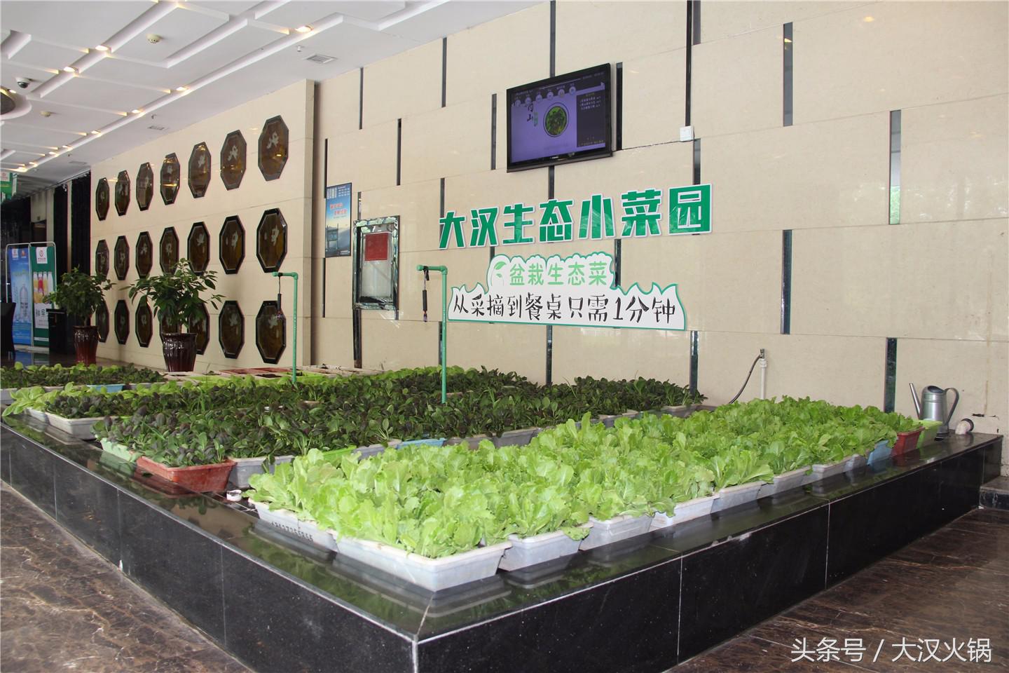 欢迎领导到我市指导工作,欢迎领导到公司参观指导