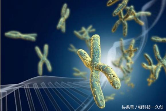 链科技最新,链科技是什么