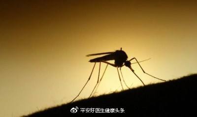 蚊子可传播皮肤疾病,蚊子的血能传播疾病吗