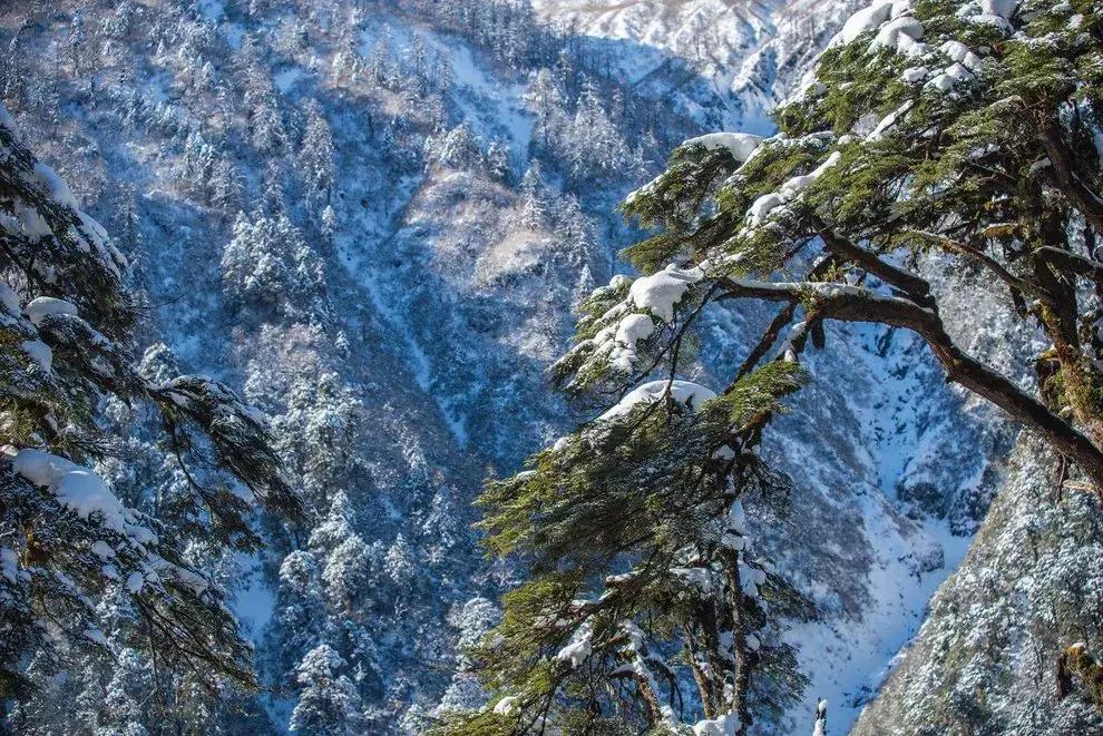 探寻高黎贡山,高黎贡山优美圣地