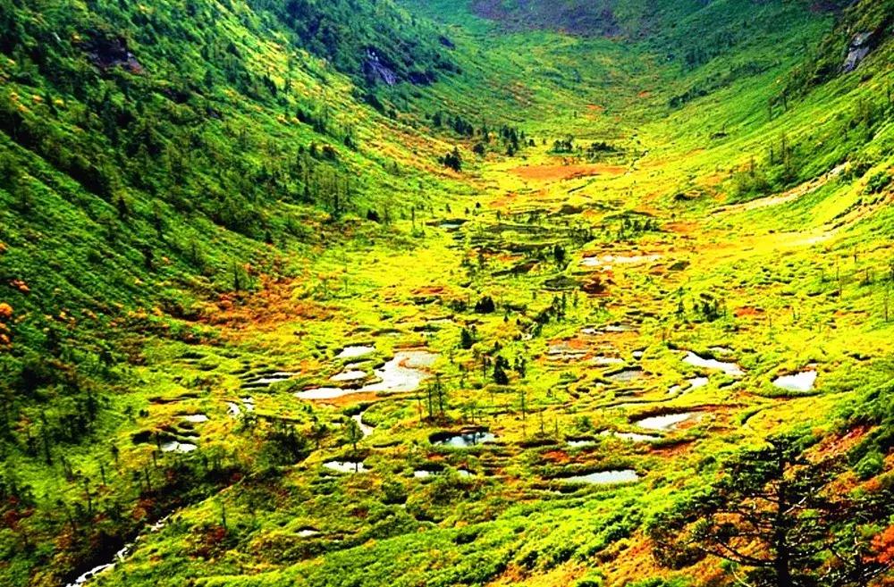 探寻高黎贡山,高黎贡山优美圣地