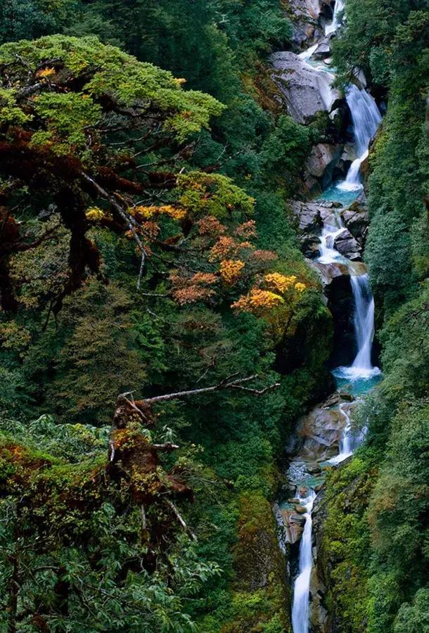 探寻高黎贡山,高黎贡山优美圣地