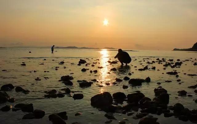 沈阳周边哪个海岛好玩一点,沈阳周边最美的景色都有哪些