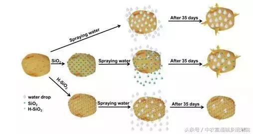 防腐保鲜剂真的管用吗,保鲜喷剂真的有效吗