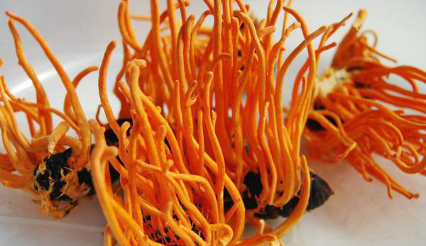 化妆品行业入门必看,化妆品行业一般人不敢说的秘密