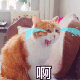 ps盗版会被adobe告吗,ps下载后adobe可以卸载么