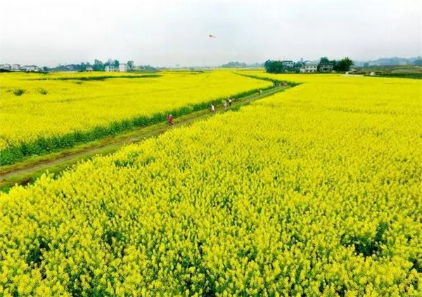 您好！我叫广安，这是我的新名片！