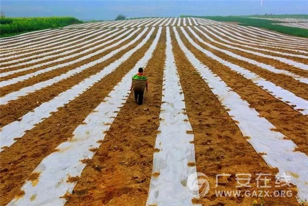 您好！我叫广安，这是我的新名片！