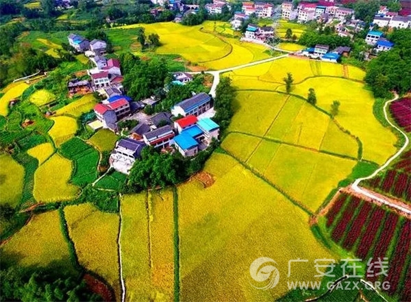 您好！我叫广安，这是我的新名片！