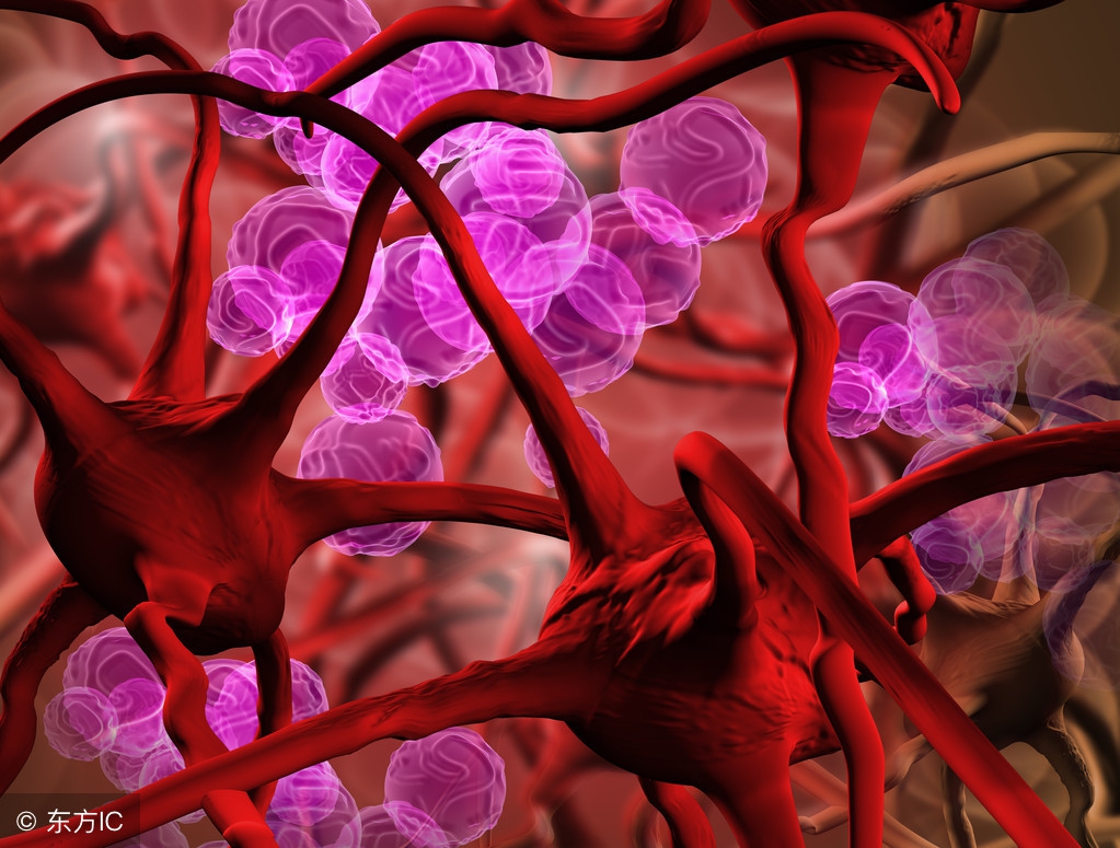 有什么食谱对病人贫血有帮助,贫血可以多吃这八种食物