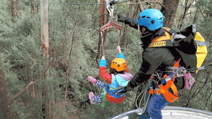 墨尔本公路风景,墨尔本大洋路美景