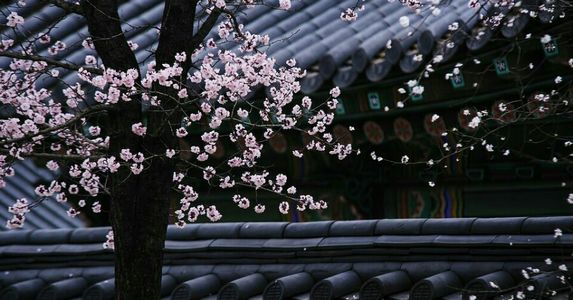 与男神契约结婚,跟未婚夫约好领证的当天