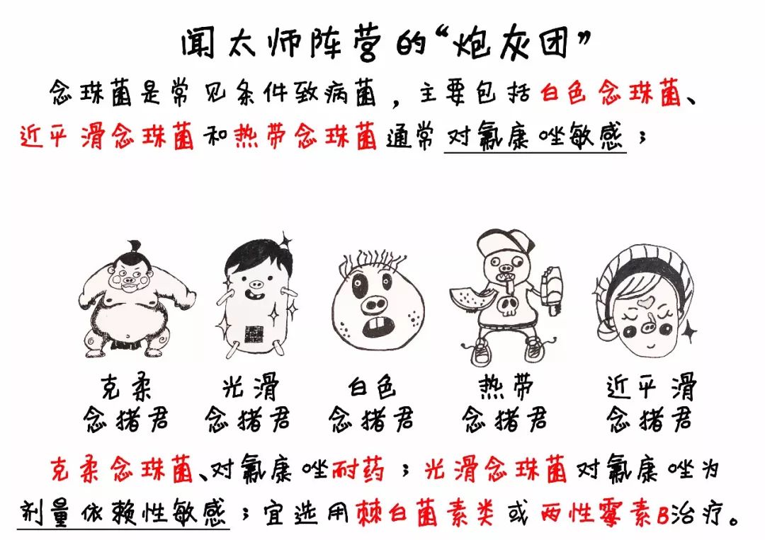 念珠菌的封神榜，这个漫画太精彩了！