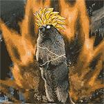 两万块的ysl鞋,ysl2万左右的包