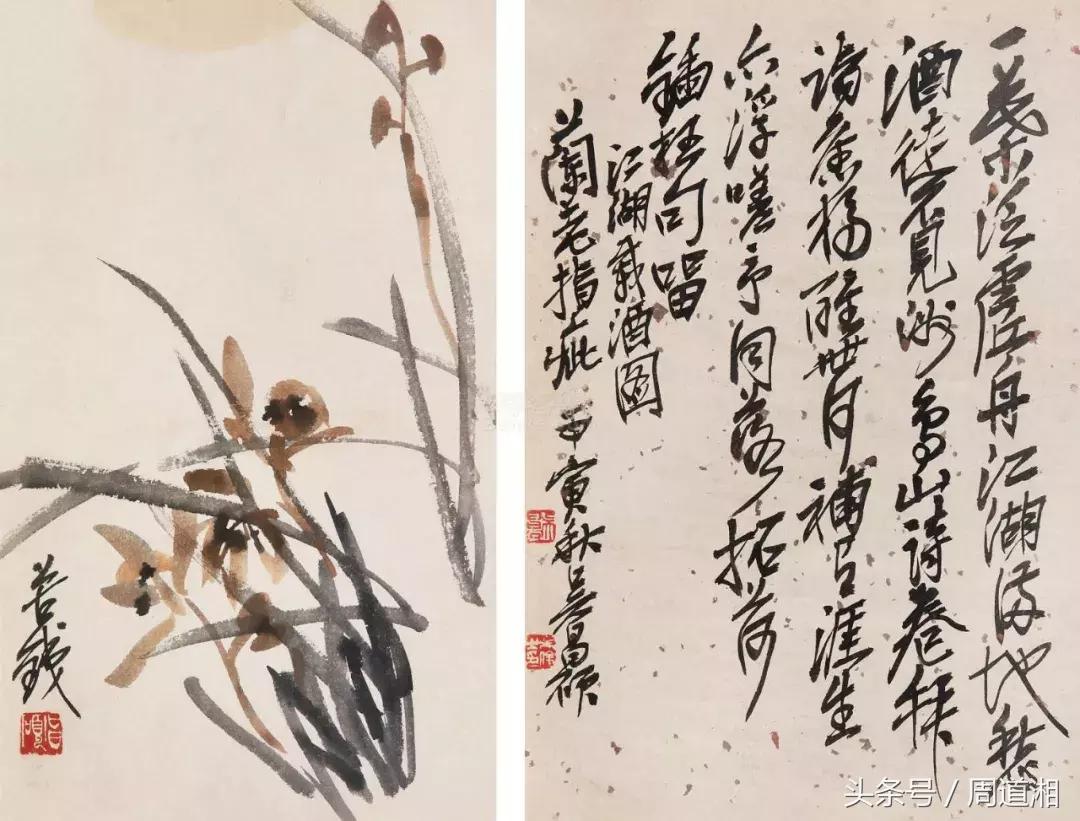 国画四大君子之兰花,国画兰花最好的是哪种