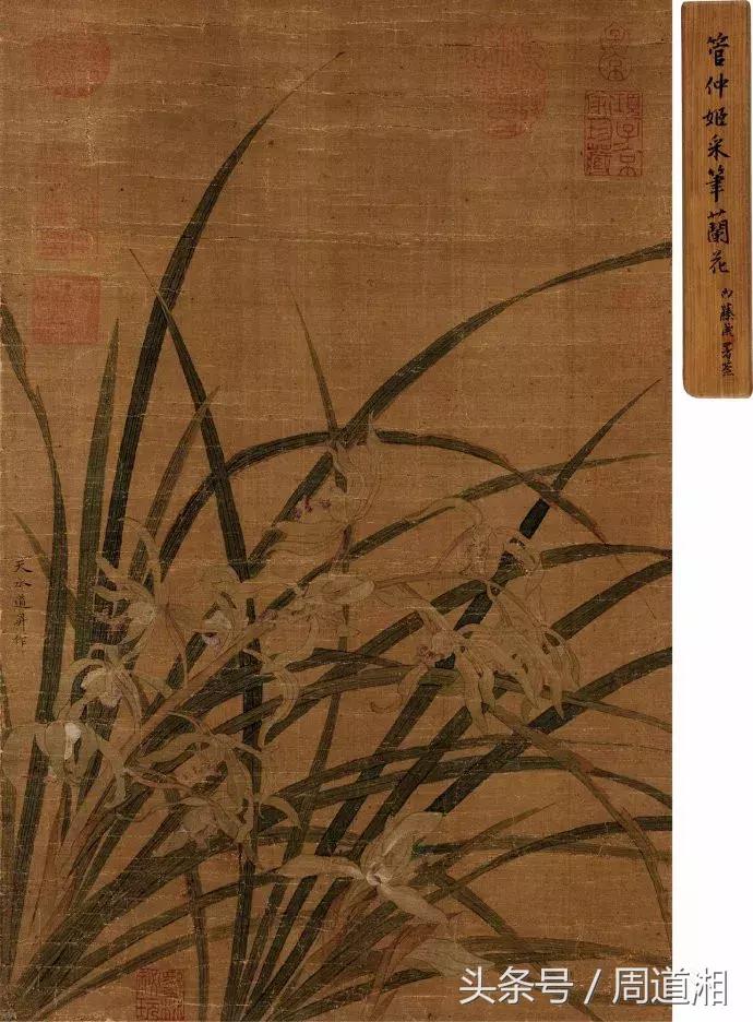 国画四大君子之兰花,国画兰花最好的是哪种