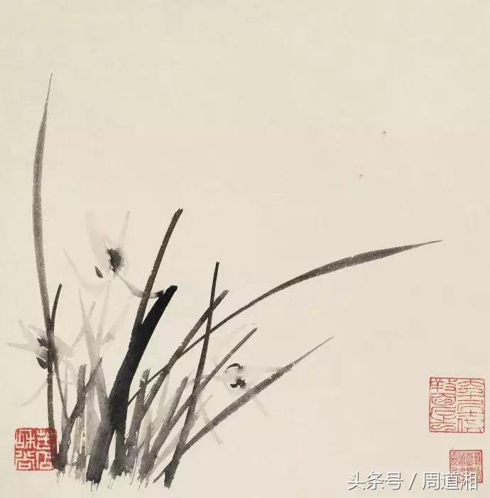 国画四大君子之兰花,国画兰花最好的是哪种