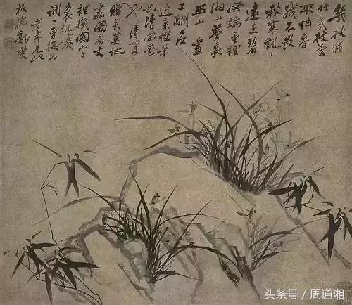 国画四大君子之兰花,国画兰花最好的是哪种