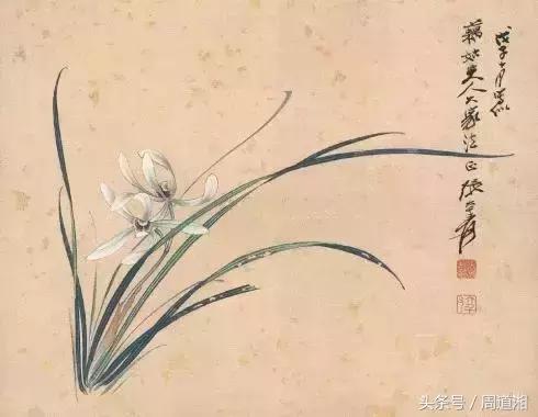 国画四大君子之兰花,国画兰花最好的是哪种