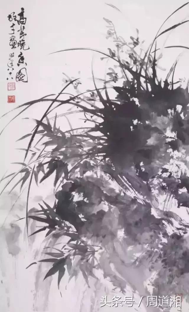 国画四大君子之兰花,国画兰花最好的是哪种