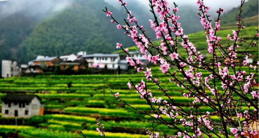 生态农家乐和休闲农庄民宿打造,农庄特色餐饮模式